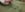 20190816_164311.jpg