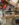 BB37AB92-A970-4289-AAFF-41AFB1CE78A7.jpeg