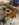 01A8243B-4D67-4BBE-AFD1-1FEB0ECBB1CC.jpeg