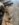 9B5332FC-9E10-4FD8-9B73-A9D12E4EA65C.jpeg