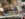 DDB417DD-613E-41DF-8A37-18BE93FE35B3.jpeg