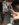 4A2BDF66-54D3-488E-9DA4-E637CD2F8E15.jpeg