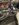 2C5EA47D-87FA-44A0-ADE0-226390C710DB.jpeg