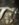 D5DA3BF4-B721-45B8-99F6-3A5422662006.jpeg