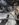2C57FCF4-78A2-4B4D-A232-4CAFDAF702CE.jpeg