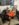 19B09B97-9844-4B82-B753-15B52AA6E672.jpeg