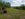 6E95F548-A825-4D24-92EA-E3F78D7E996E.jpeg