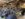 6E5FB24C-FC61-4D5C-8283-D0D83D767A16.jpeg