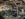 9546B058-651C-43DA-85C0-777386ABA165.jpeg