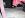 codys pics2 042.jpg