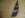 DSC01173.JPG