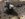 BDFAE4F3-8A4F-482F-BB61-0225868D6B72.jpeg