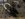 048B9CFF-3CBB-4877-A805-1044F9329187.jpeg