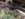 9D6F4145-C284-40AB-B913-335463A6C1BF.jpeg