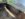 4F1A8549-D4E0-4747-84A4-3B71AB57BAB7.jpeg
