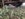 8470085A-50CE-46AB-9D34-8CFF2EA0D5D8.jpeg