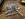 010867D0-C39D-43A7-922B-CE59A7B2F38B.jpeg