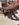IMG_2055.jpeg
