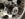 18CA6867-422E-474B-9768-FE8110193E37.jpeg
