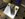 8D24EE13-8DD7-4104-BDA4-C5B27ABE7D56.jpeg