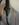 C57ABDA4-4D38-4A69-AC74-A6CB64CE7FAD.jpeg