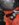 2063FD24-CEA1-4EB9-8D13-AD16DAA0DC4F.jpeg