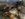 5C19AFD0-D77C-441B-AA96-B5F37D58B3BE.jpeg