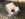 46129CEE-F39F-445B-B2D9-895ED4D588AD.jpeg