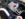 FE391906-EBFF-4C3E-B9AD-9C33212DDA27.jpeg