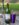 9E372A31-E3E8-4A1D-9CF5-465B48E3D0C5.jpeg