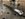 45F73D76-D87D-4D50-9CBA-1326AA4B258E.jpeg