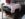 20190828_210242_Burst01.jpg