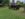 IMG_20190906_180923.jpg