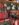 66C60C31-BA3E-4293-A9A6-11C77E43C018.jpeg