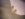 IMG_20190907_121521627.jpg