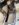 750A15A6-6E46-4DF0-9106-7DADE6443A6A.jpeg
