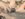 BF3E4CD9-D8D6-473A-ACDA-C8D8636FC55B.jpeg