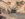 FA6CB55E-74AB-4D87-AD3E-4282C9EBF6C4.jpeg