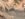 44B9E89B-25E6-4BCD-881B-29B49008882A.jpeg