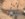 A421B81B-E76A-4959-926A-5B1E8E7D55E5.jpeg