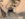3F2B2EE0-29F1-471C-BEA2-29C29DEF56C8.jpeg