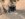 11ED9059-FF3F-4045-AF89-21FEBC2663F3.jpeg