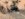 AEA3A3D5-3527-4E04-AA32-3A8EE1EE3565.jpeg