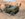 54A5979D-BD4E-4B6D-9155-F6ADB6FE04EA.jpeg