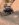2E26FC3C-938F-4E80-A9AB-C368A0096237.jpeg