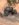 9C1D4ED6-1823-4EFF-8F7D-C5CCE58AD14B.jpeg