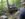 received_400779083976021.jpeg