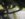 BDB954B5-9214-4C9A-9C24-19F82A594B37.jpeg