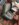 16593B9B-4999-4CEF-8B6B-0A95EAF86289.jpeg