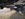 691F0419-0390-4AAA-B90A-5CA14924900F.jpeg